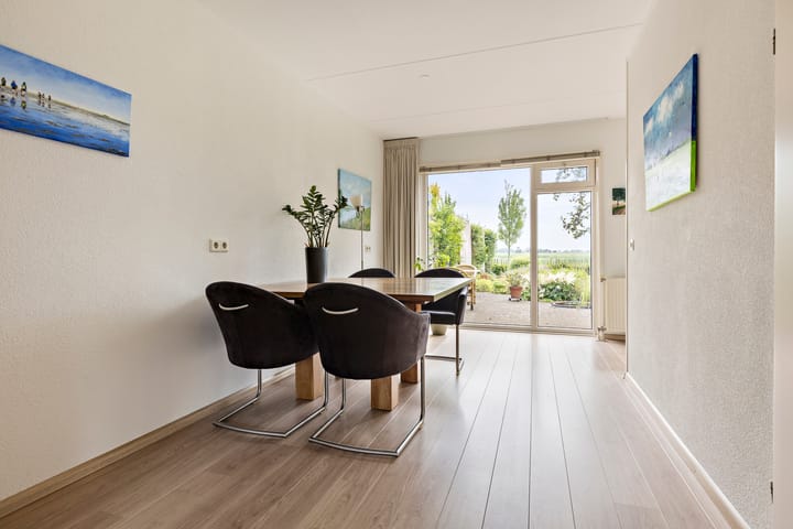 Foto 19 van Buizerd 13