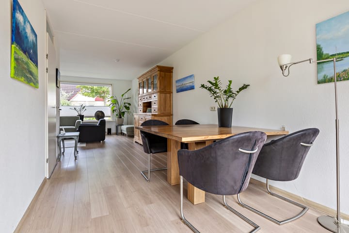 Foto 20 van Buizerd 13