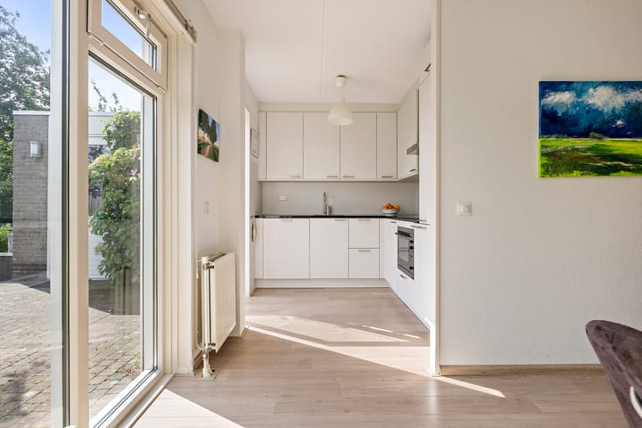 Foto 21 van Buizerd 13