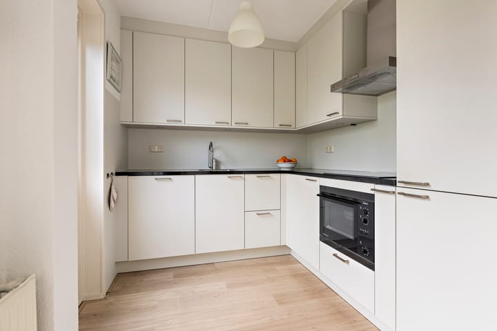 Foto 22 van Buizerd 13