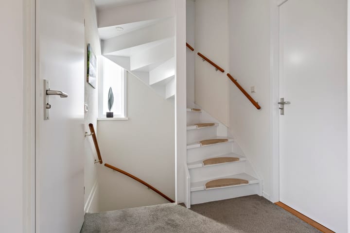 Foto 25 van Buizerd 13