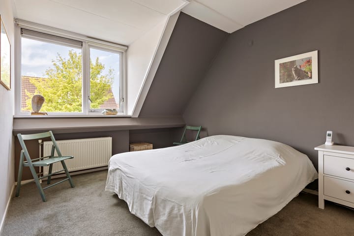 Foto 26 van Buizerd 13