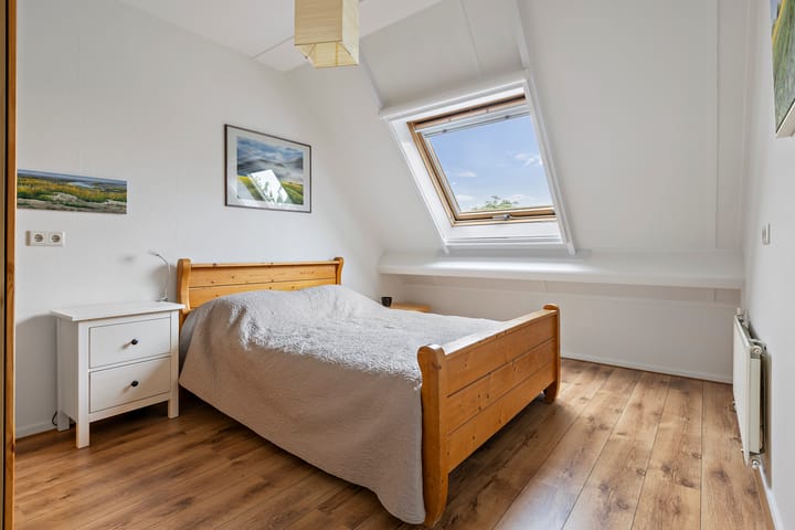 Foto 27 van Buizerd 13