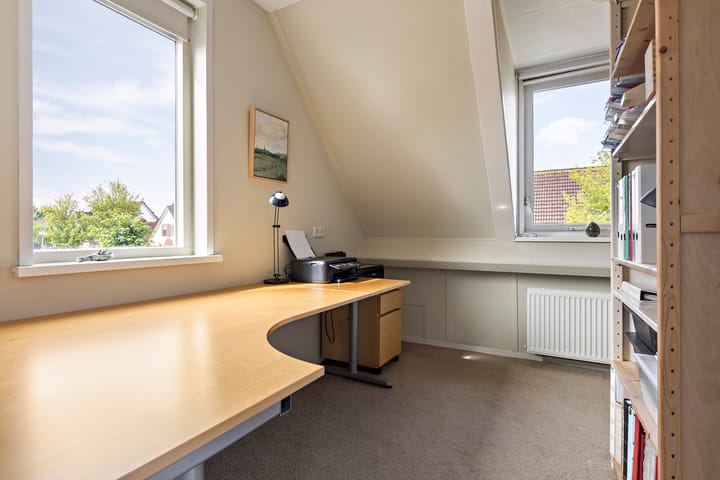 Foto 28 van Buizerd 13