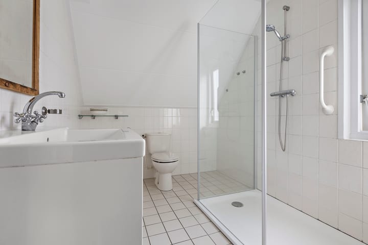 Foto 29 van Buizerd 13