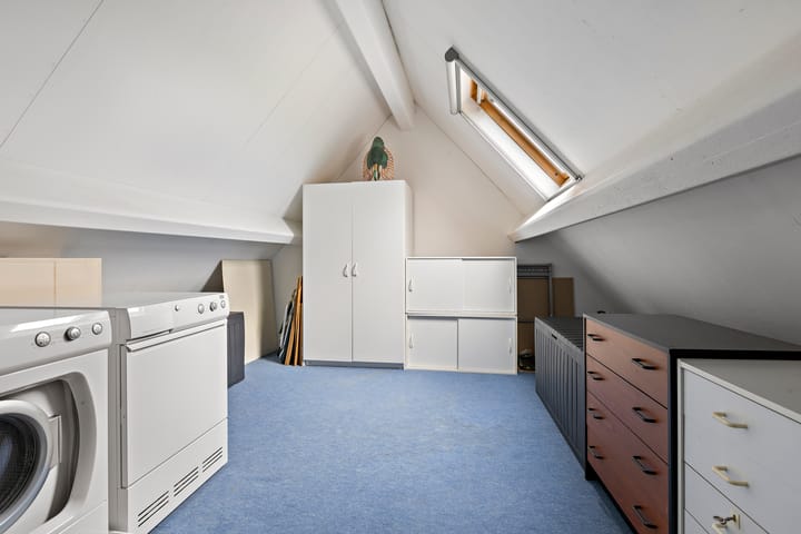 Foto 32 van Buizerd 13