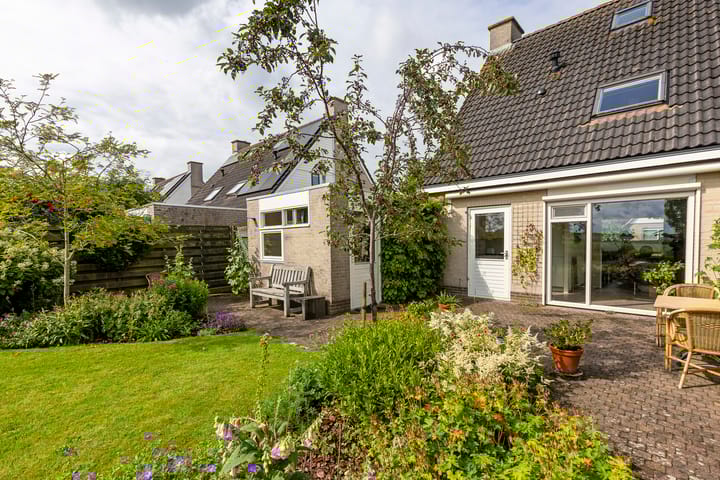 Foto 34 van Buizerd 13