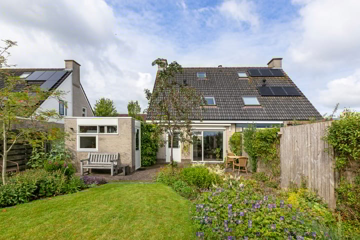 Foto 35 van Buizerd 13