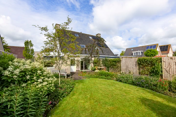 Foto 36 van Buizerd 13