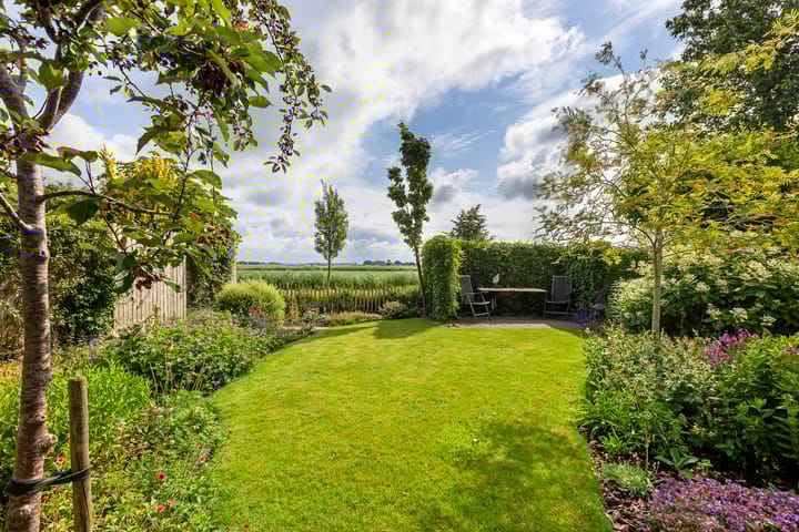 Foto 38 van Buizerd 13