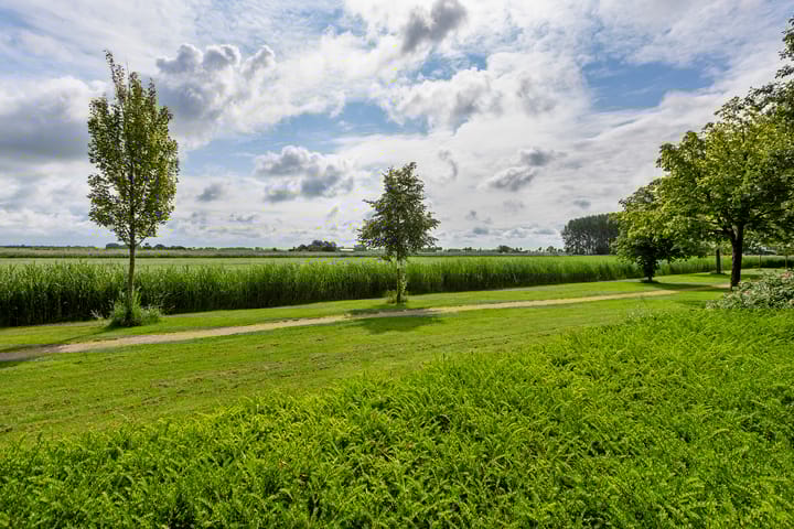 Foto 39 van Buizerd 13