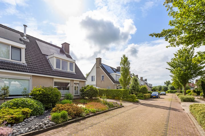 Foto 40 van Buizerd 13