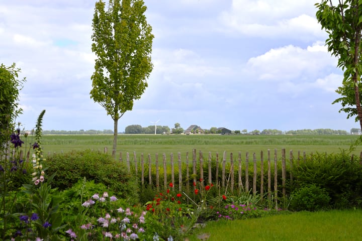 Foto 41 van Buizerd 13