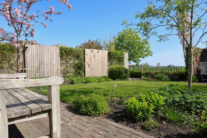 Foto 42 van Buizerd 13