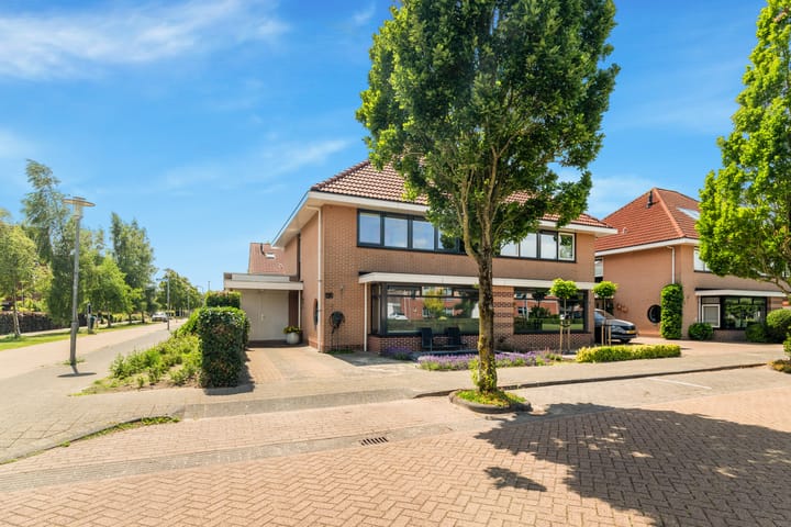 Photo 7 of Tormentil 1