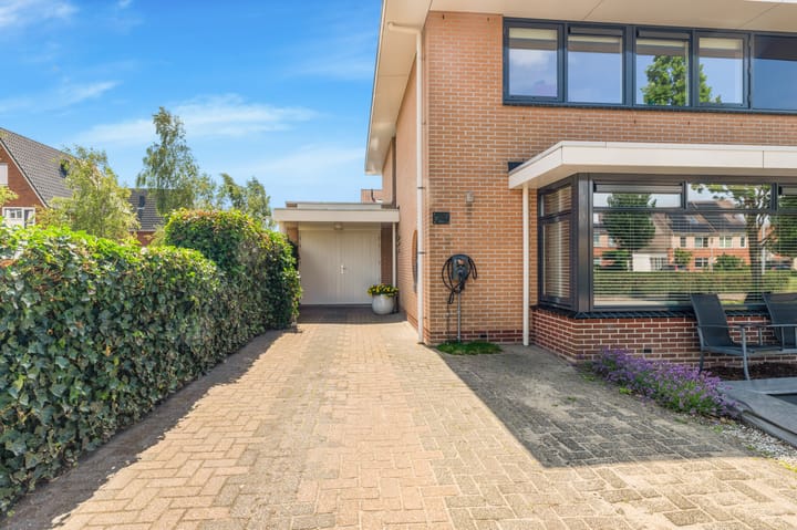 Photo 8 of Tormentil 1