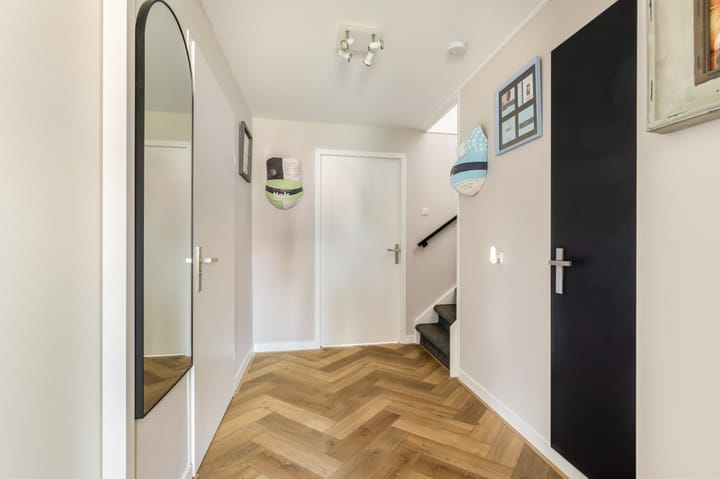 Photo 25 of Tormentil 1