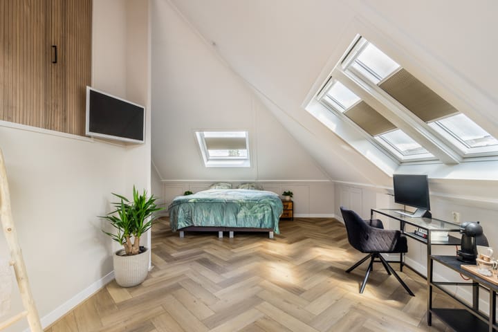 Photo 34 of Tormentil 1