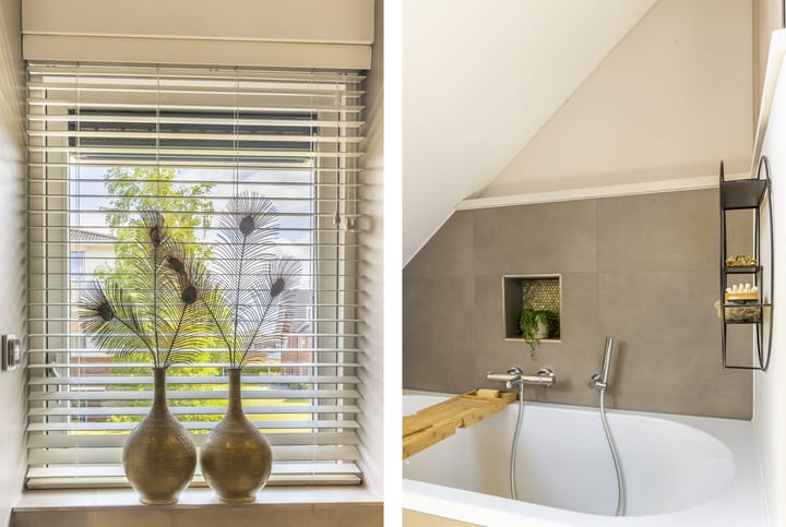 Photo 37 of Tormentil 1