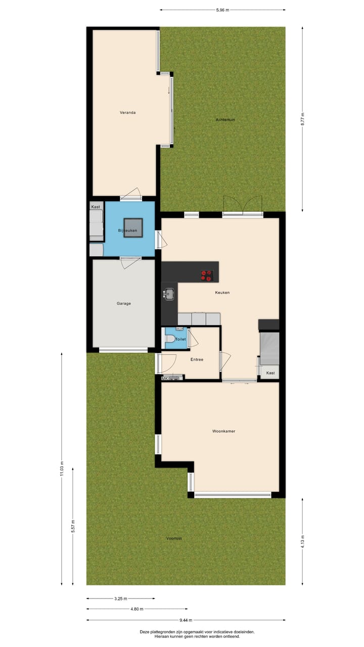 Photo 38 of Tormentil 1