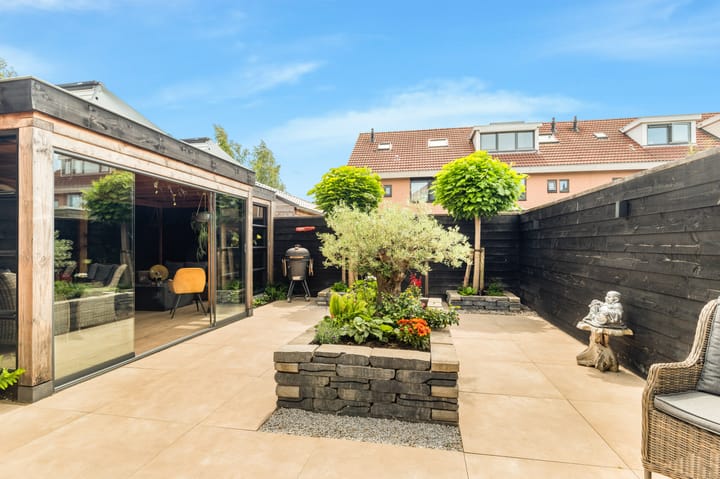 Photo 39 of Tormentil 1