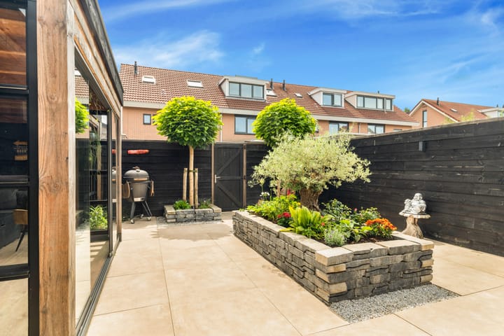 Photo 40 of Tormentil 1