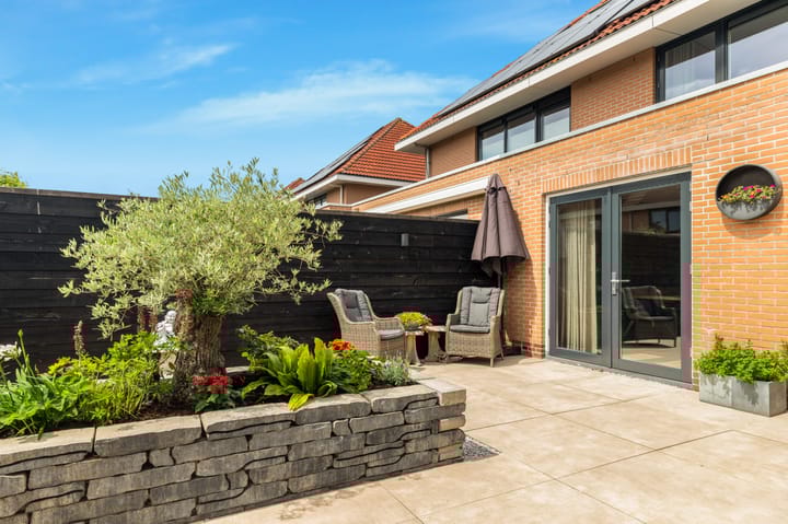 Photo 41 of Tormentil 1