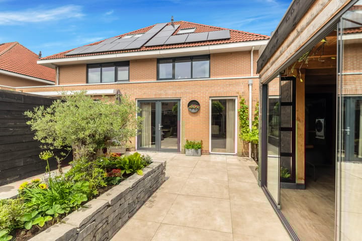 Photo 43 of Tormentil 1