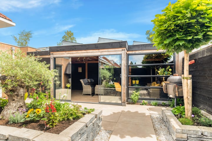 Photo 44 of Tormentil 1