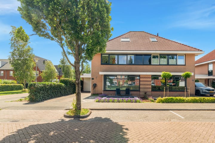 Photo 48 of Tormentil 1