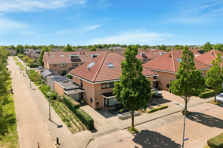 Photo 49 of Tormentil 1