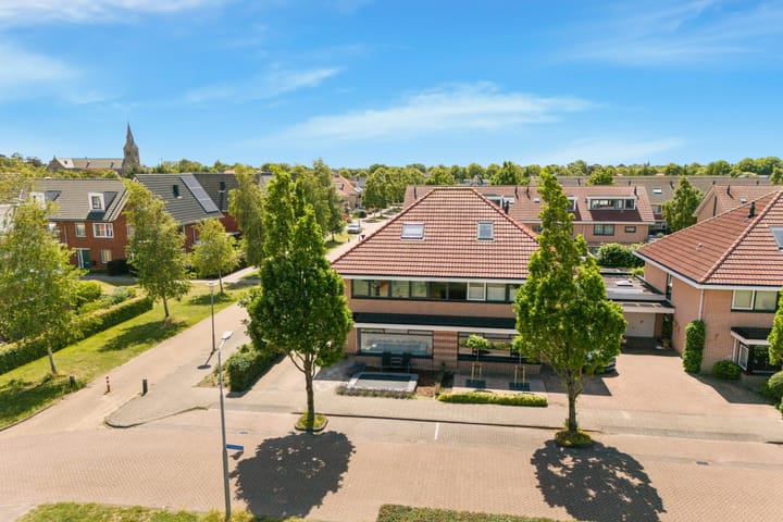 Photo 50 of Tormentil 1