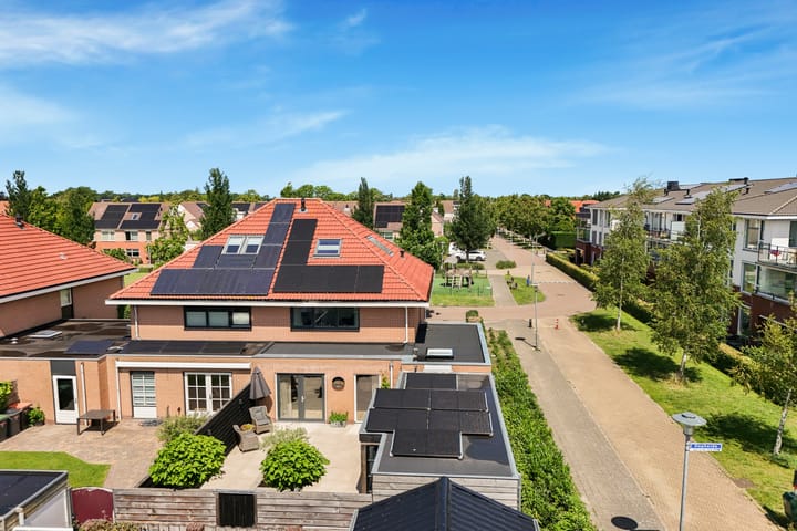 Photo 51 of Tormentil 1