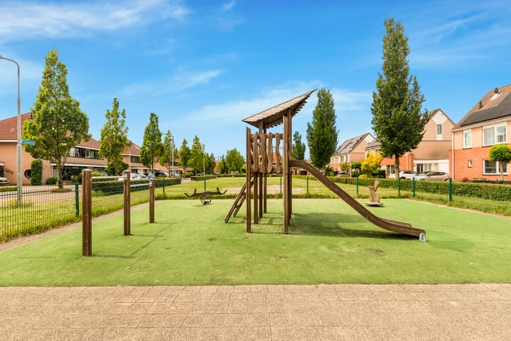 Photo 52 of Tormentil 1