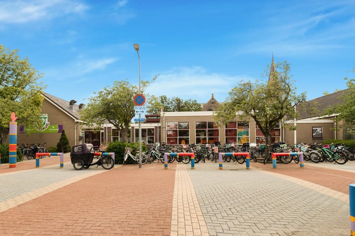 Photo 53 of Tormentil 1