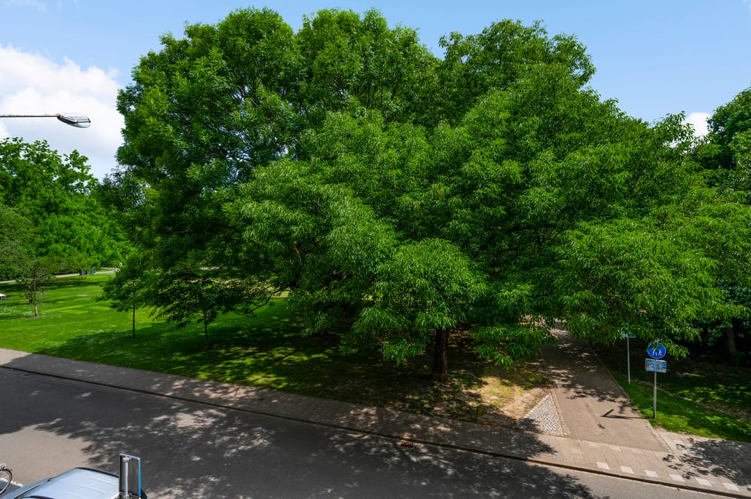 Foto 17 van Sint Pieterskade 8-B03