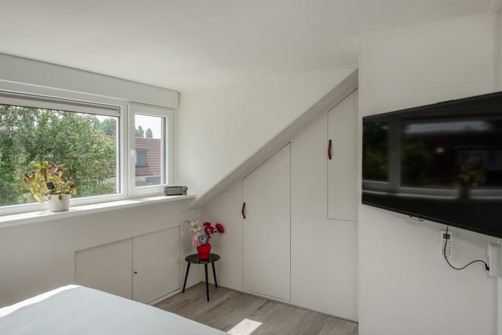 Foto 32 van Titaanwit 50