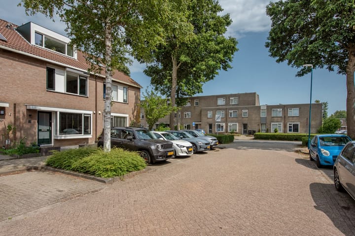 Foto 38 van Titaanwit 50