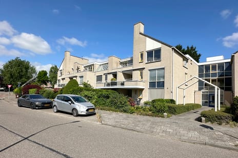 undefined main image