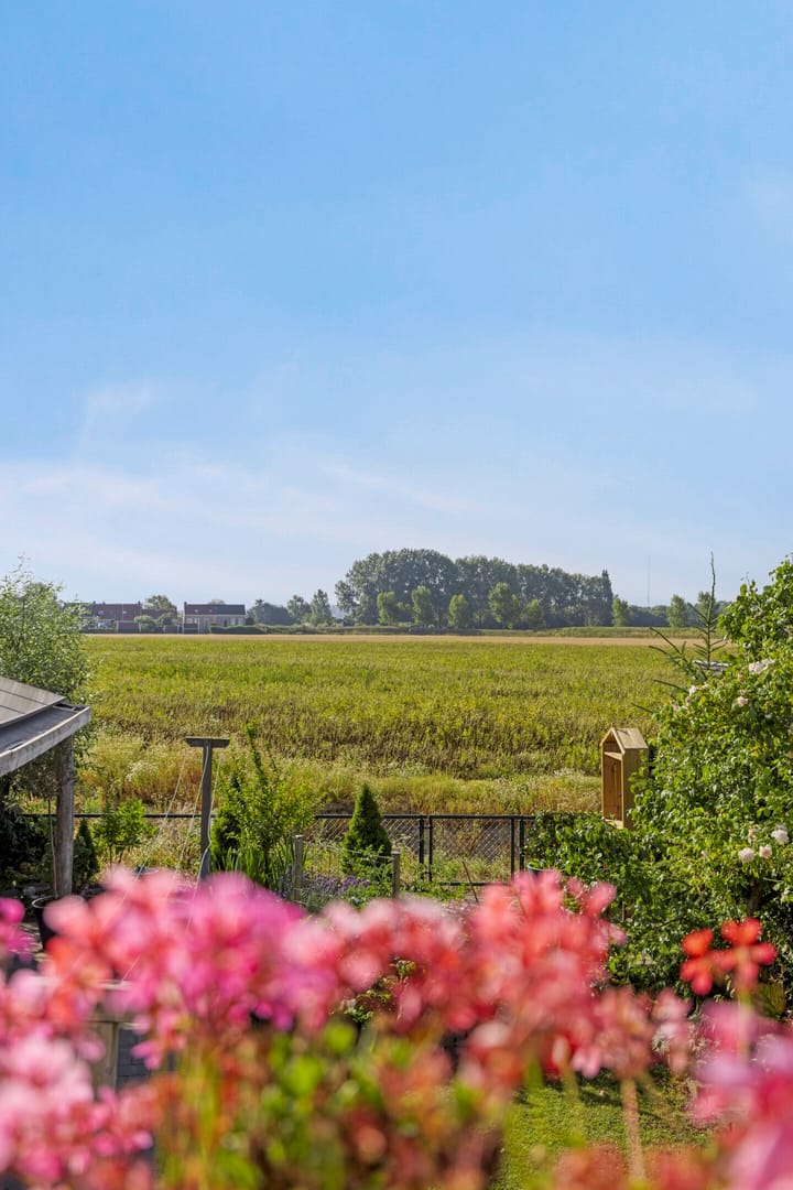 Foto 17 van Boomdijk 9