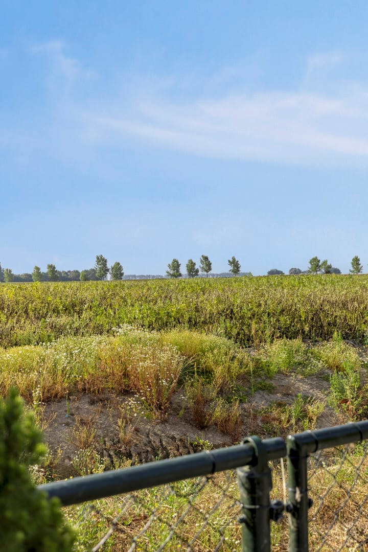 Foto 48 van Boomdijk 9