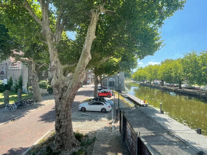 Photo 9 of Westvest 231