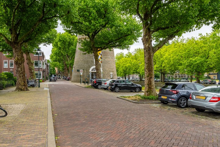 Photo 18 of Westvest 231