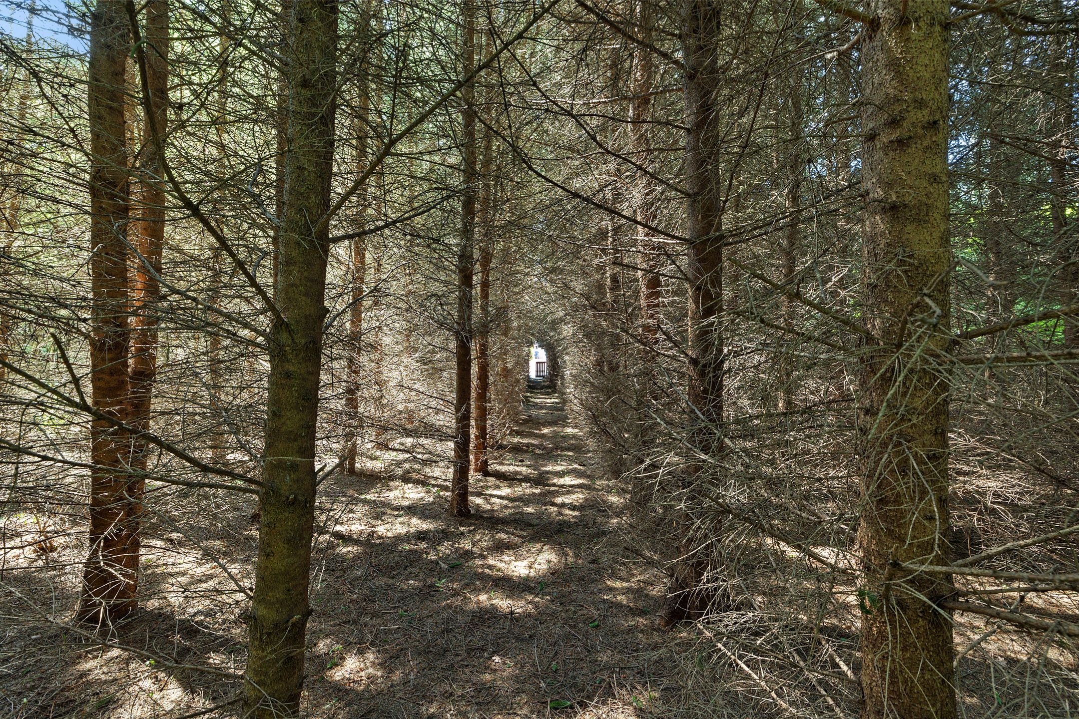 Foto 36 van Exloërkijl-Zuid 71-B