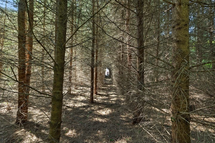 Foto 36 van Exloërkijl-Zuid 71-B