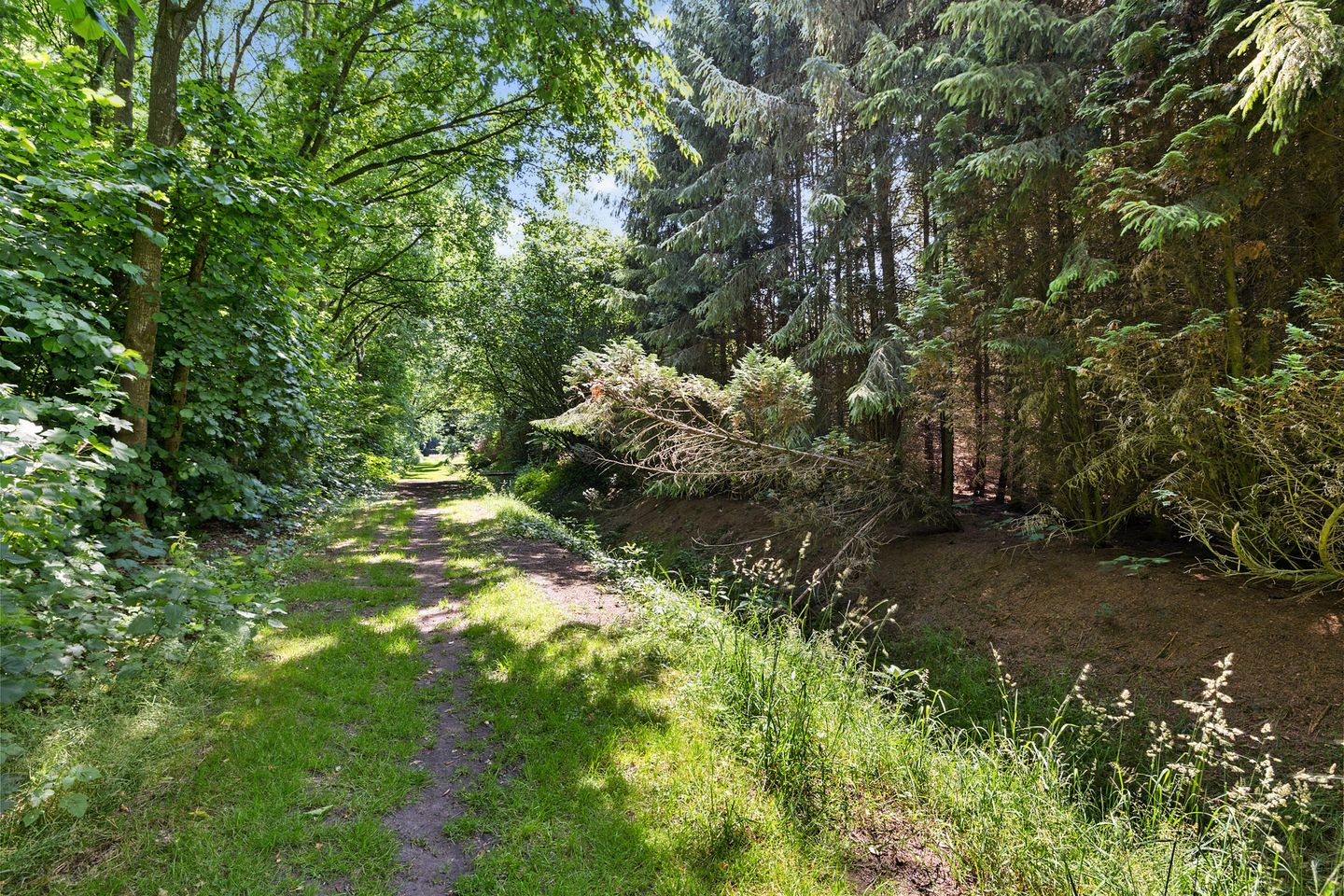 Foto 35 van Exloërkijl-Zuid 71-B