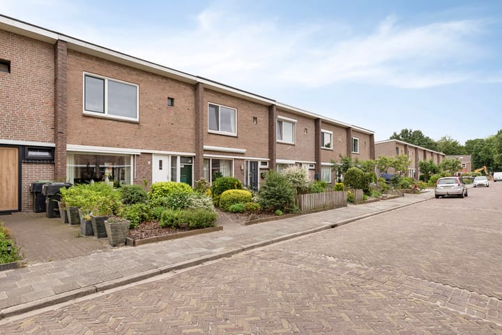 Foto 4 van Troelstrastraat 31