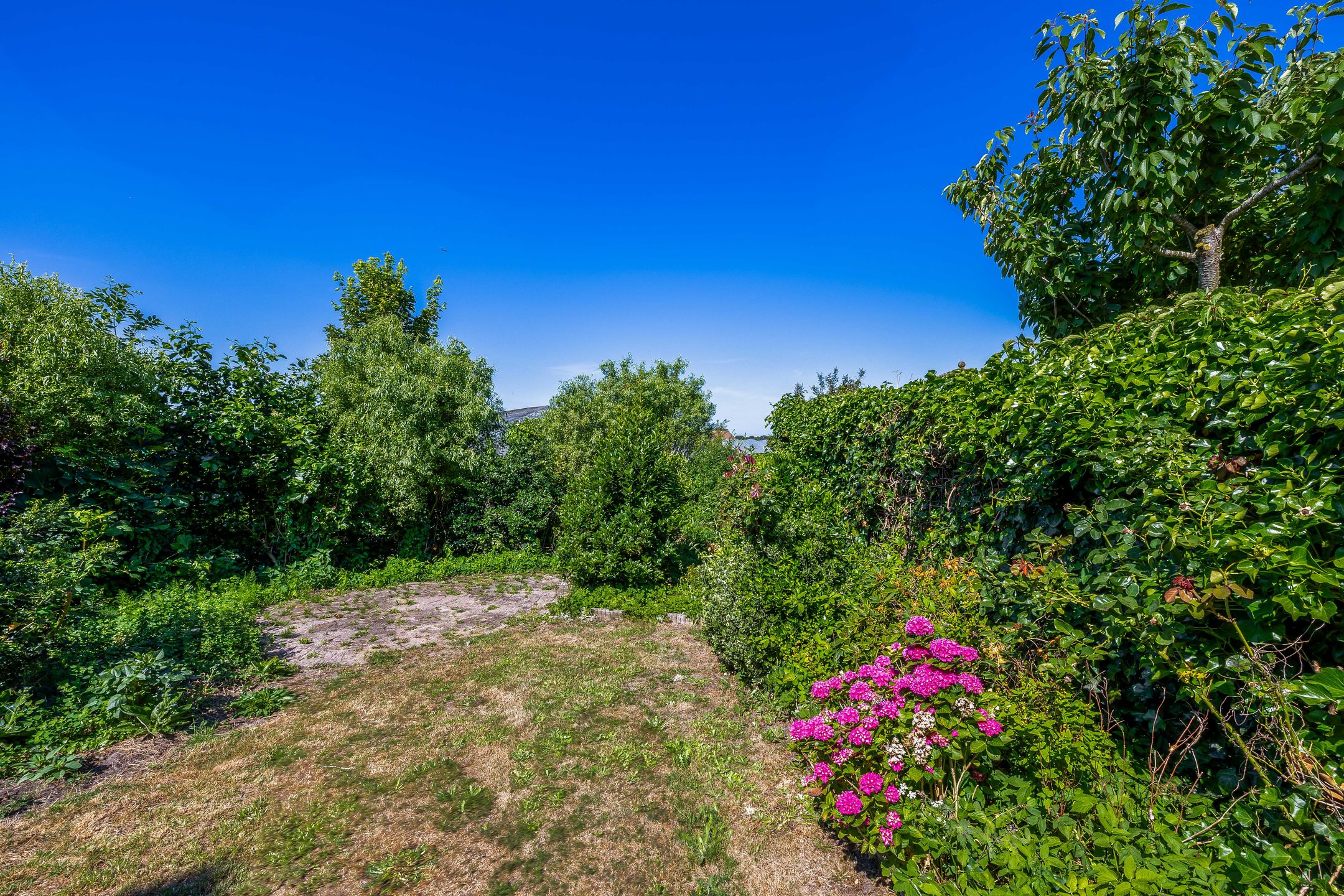 Photo 36 of Hoogtij 163