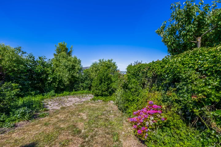 Foto 36 van Hoogtij 163