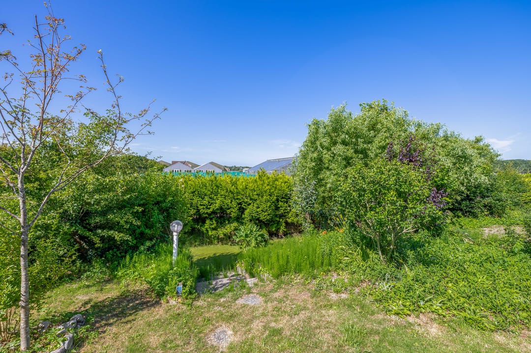 Photo 38 of Hoogtij 163